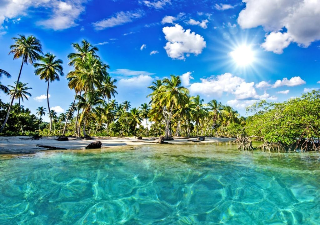 Services carribean